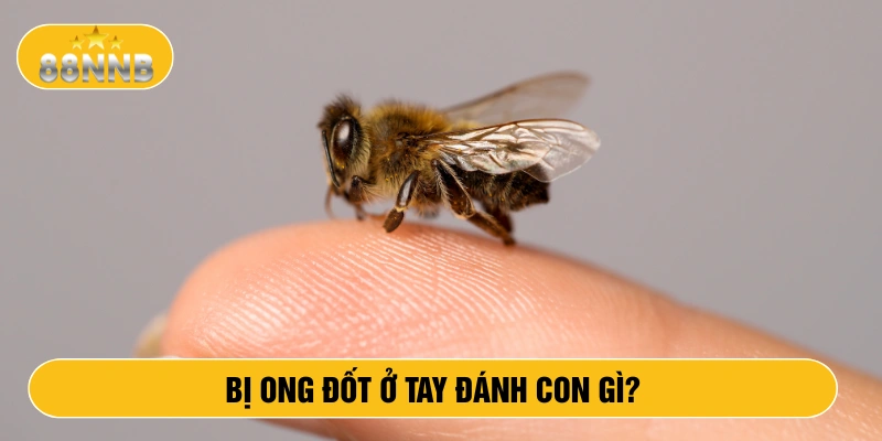Bị ong đốt ở tay dánh con gì