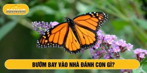 Bướm bay vào nhà đánh con gì