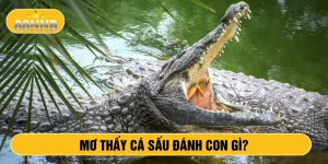 Mơ thấy cá sấu đánh con gì