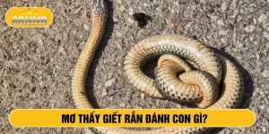 Mơ thấy giết rắn đánh con gì