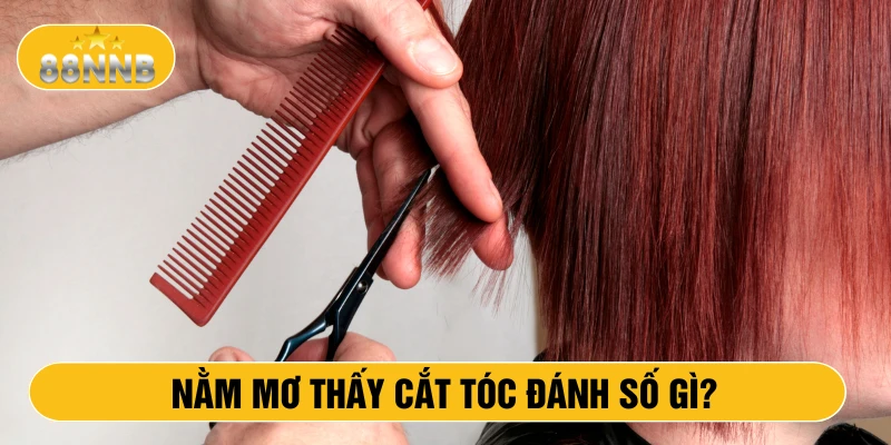 Nằm mơ thấy cắt tóc đánh số gì