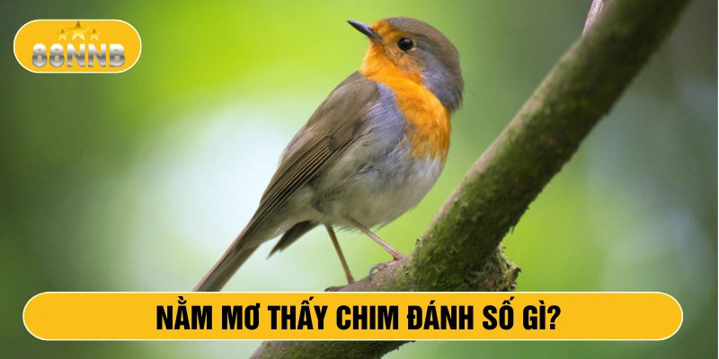 Nằm mơ thấy chim đánh số gì?