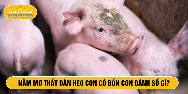 Nằm mwo thấy đàn heo có bốn con đánh số gì