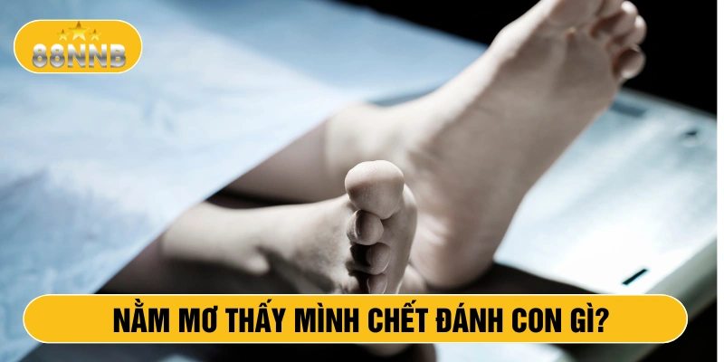 Nằm mơ thấy mình chết đánh con gì
