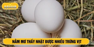 Nằm mơ thấy nhặt được nhiều trứng vịt