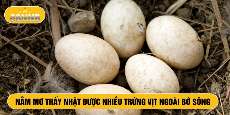 Nằm mơ thấy nhặt được nhiều trứng vịt ngoài bờ sông