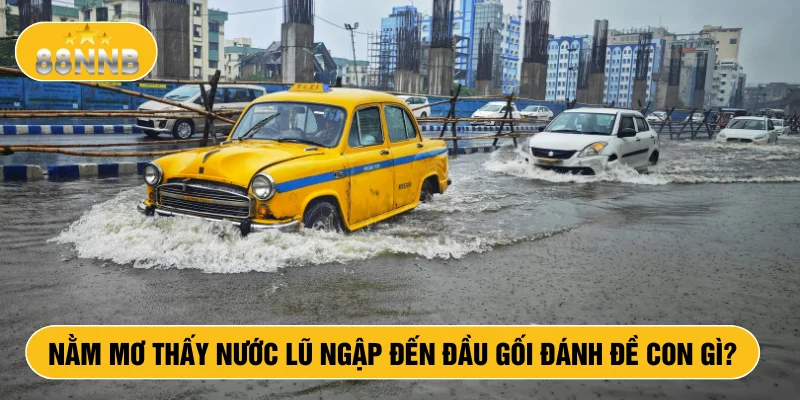Nằm mơ thấy nước lũ ngập đến đầu gối đánh đề con gì