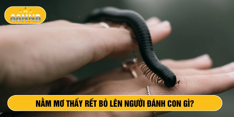 Nằm mơ thấy rết bò lên người đánh con gì