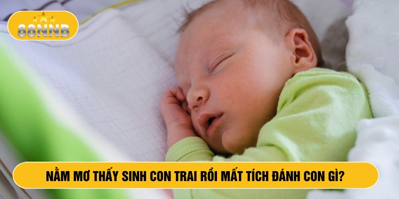 Nằm mơ thấy sinh con trai rồi mất tích đánh con gì