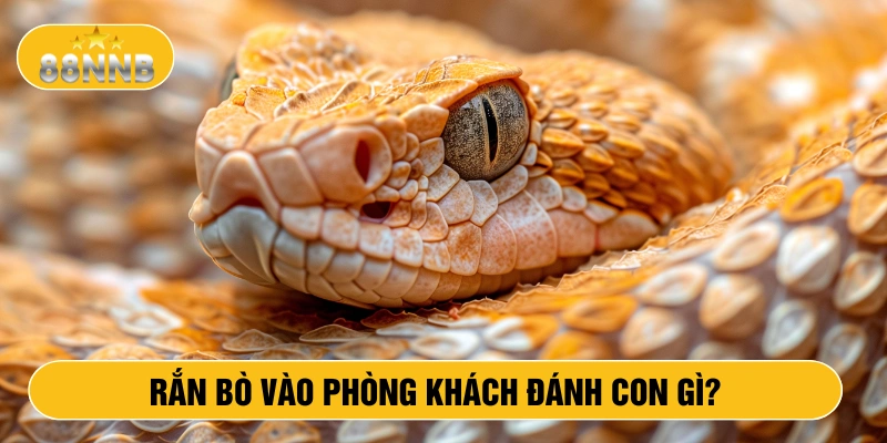 Rắn bò vào phòng khách đánh con gì